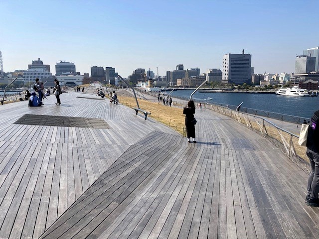 横浜港大さん橋の屋上の写真