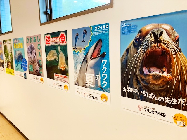 マリンピア日本海のポスター