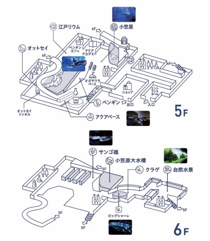 すみだ水族館のフロアマップ